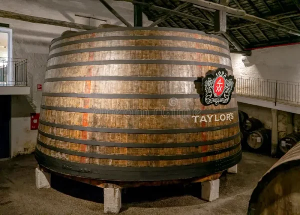fabrication porto cuve vinification