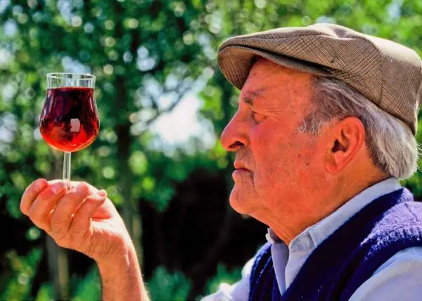 choisir vin vivant