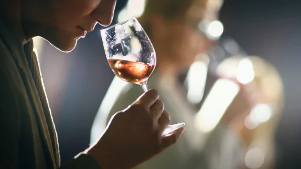 reconnaitre vin nature