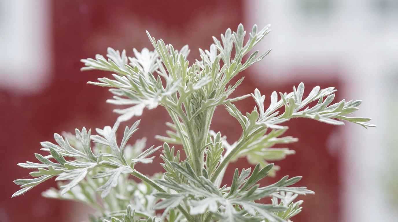 Plante absinthe - guide de culture et bienfaits [2026]