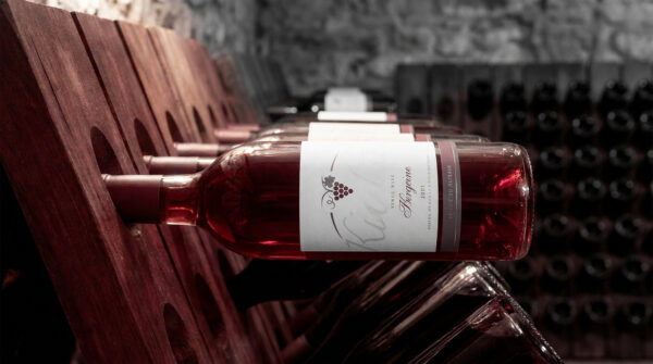 Cave à vin vieillissement | Le guide pro 2026 avis