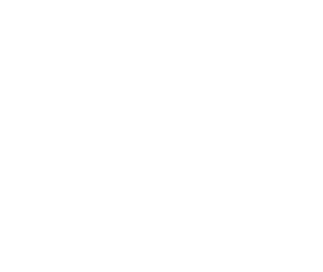 Vinae