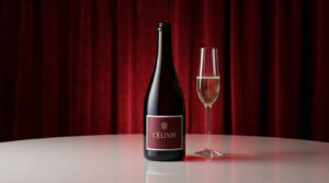 Champagne chère | Guide luxe et prix des cuvées 2026