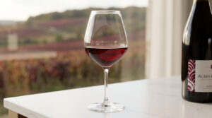 Auxey duresses | Guide 2026 des pépites de Beaune [Avis]