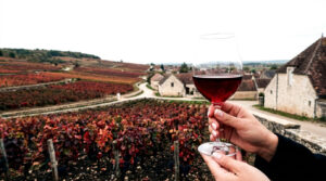 Côte de Nuits | Guide 2026 des grands crus et terroirs